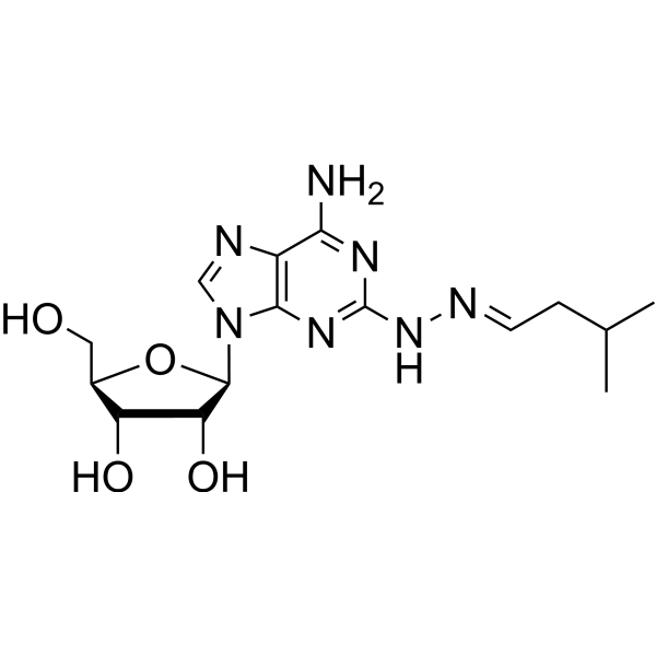 2-(3-Methyln-propylidene hydrazino)adenosine